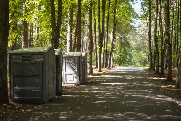 Portable Toilet Options We Offer in Alamo, TX